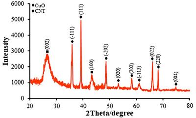Electrochemical DNA-nano biosensor for the detection of Goserelin as anticancer drug using modified pencil graphite electrode